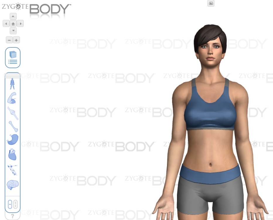 Body Browser 1